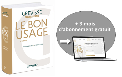 Le bon usage grevisse pdf free download